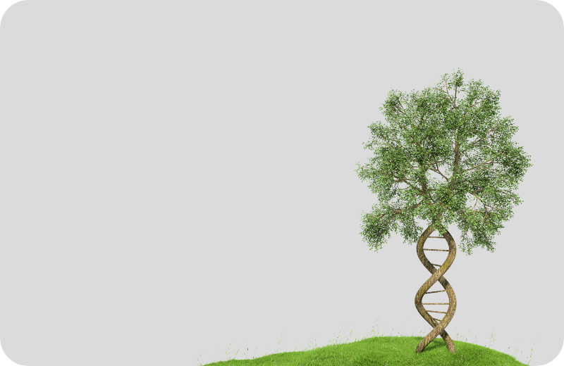 Integrative Medicine